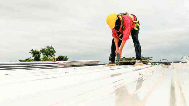 Best Chimney Flashing Repair  in Lauderdale Lakes, FL