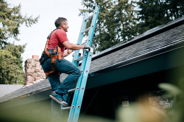 Best Storm Damage Roof Repair  in Lauderdale Lakes, FL